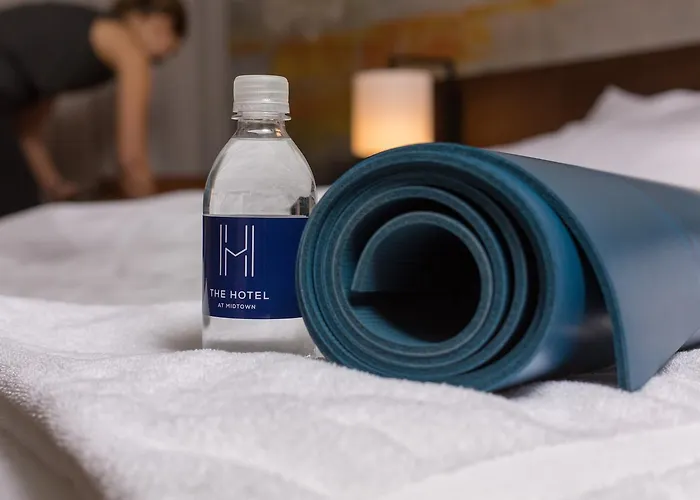 Resort The & Athletic Club At Midtown Chicago